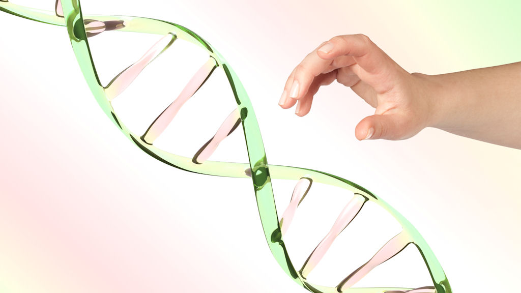 Gene ‘switches’ are what really make humans tick Channel 4 News