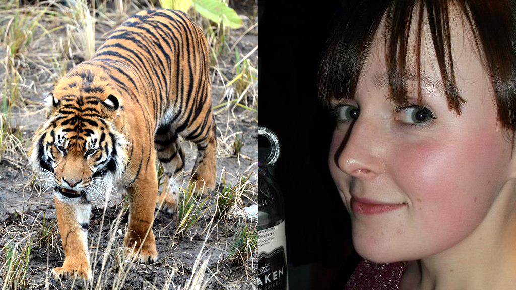 Tiger death: family hit back at zoo park claims – Channel 4 News