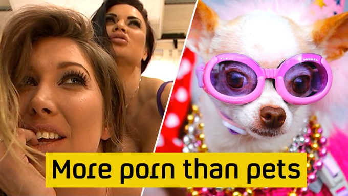 One in every thousand tweets is porn – Channel 4 News