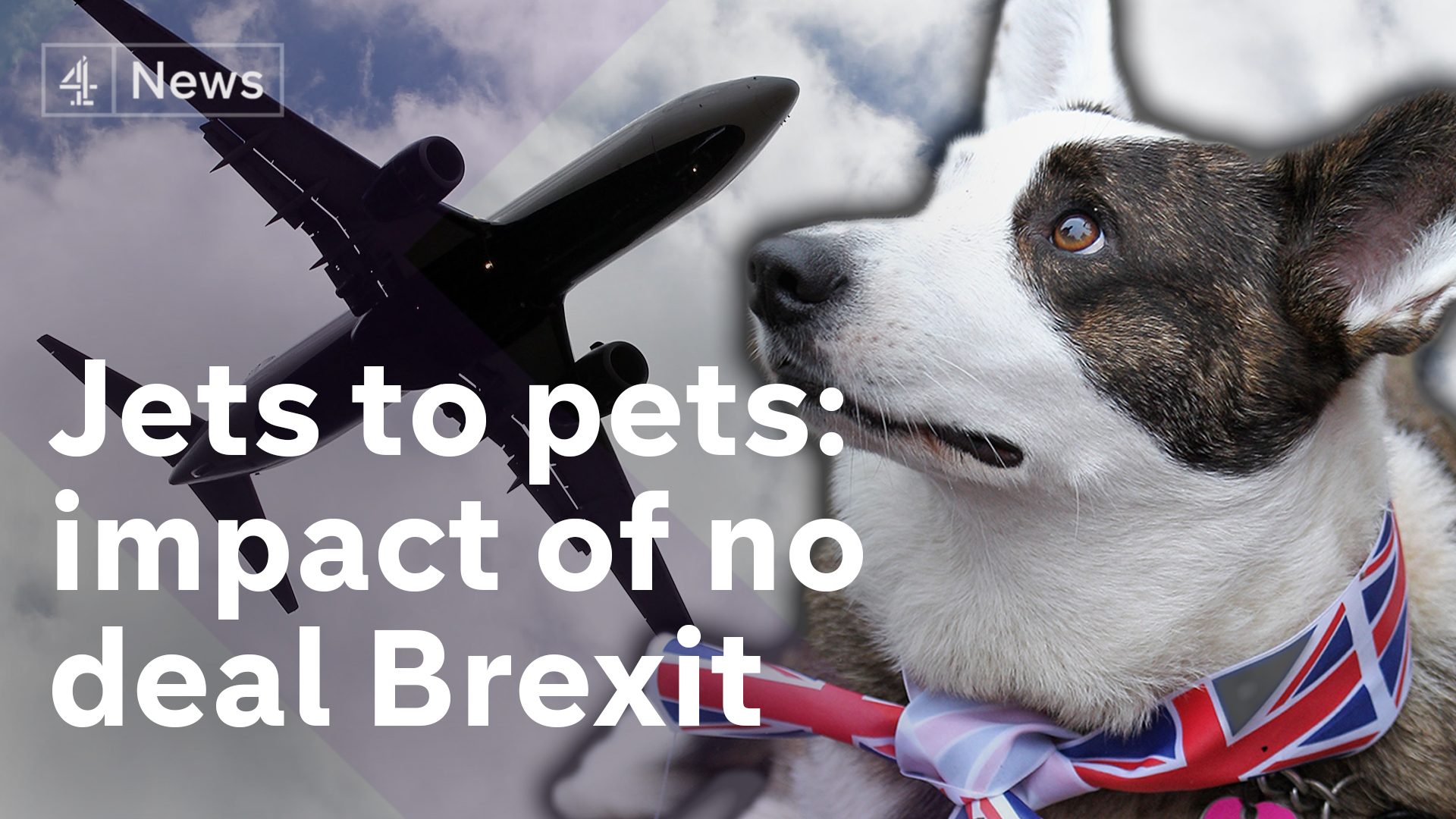 Brexit Consequences of No Deal from jets to pets Channel 4 News
