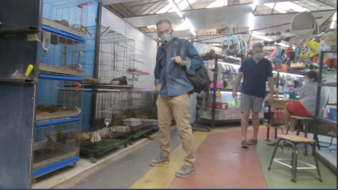 ‘Another Wuhan in the making’? Undercover in a Thailand market selling