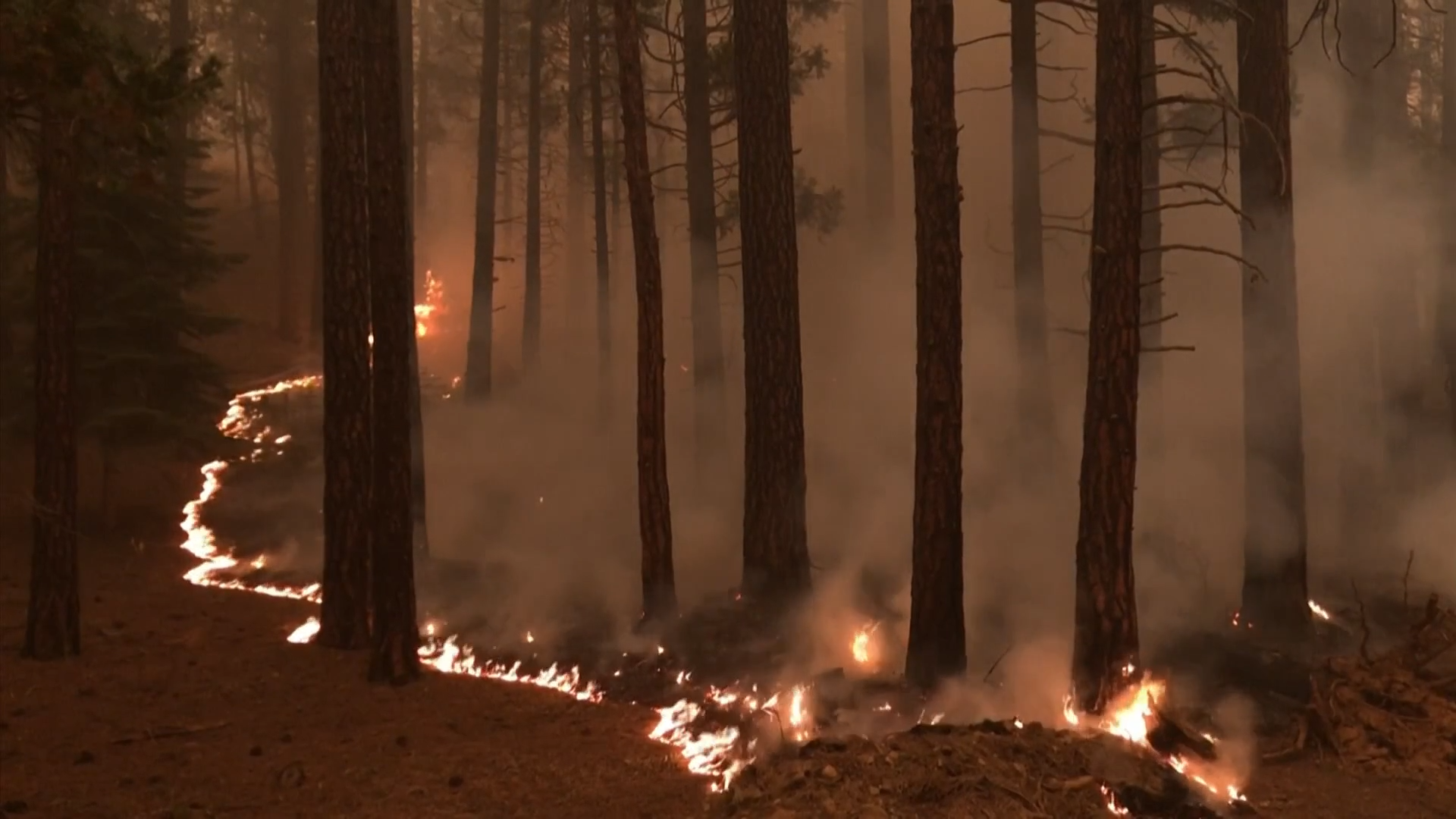 Some climate changes now irreversible, says stark UN report Channel 4