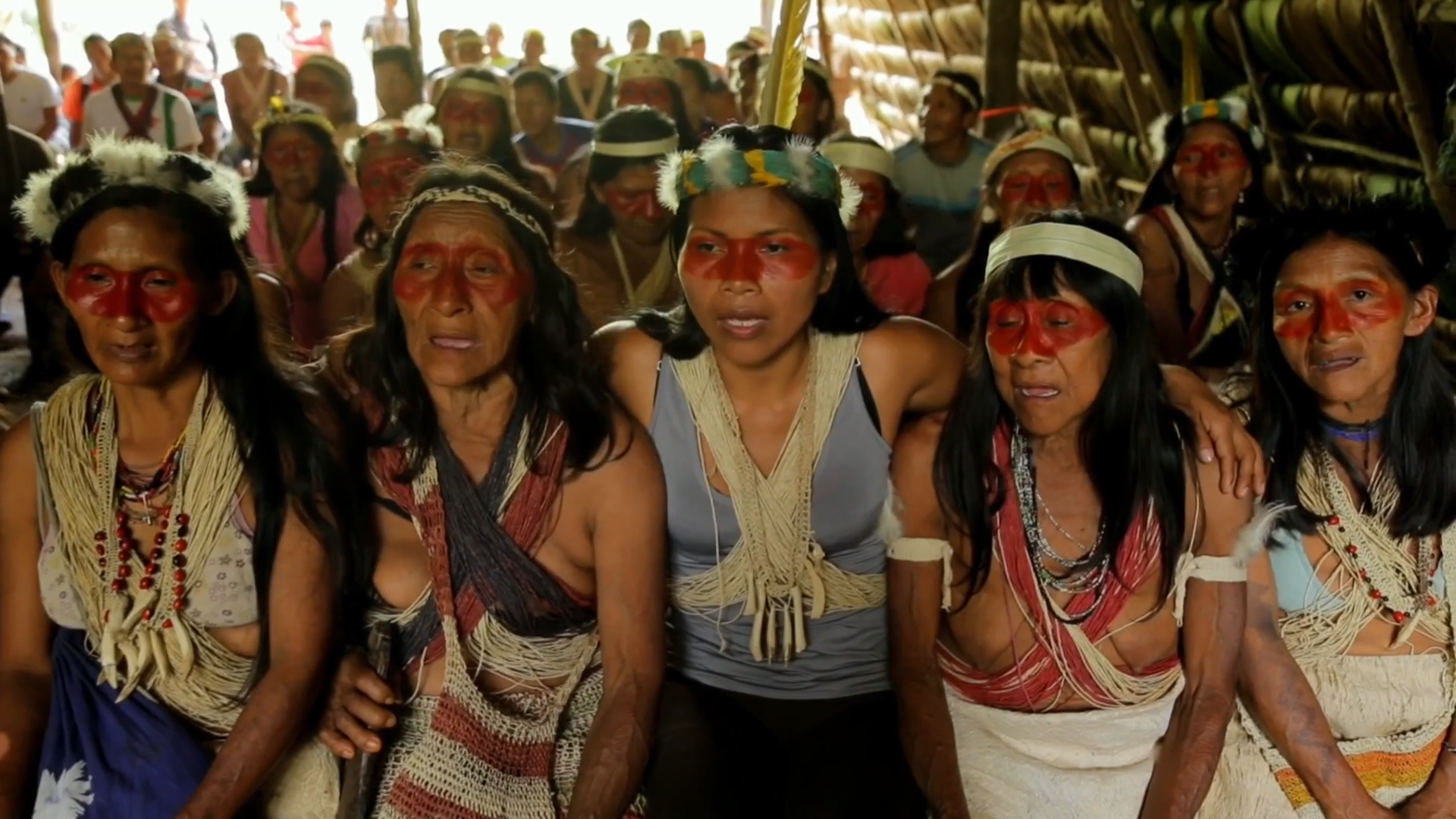 Indigenous communities fighting deforestation in Ecuadorian Amazon - Vimarsana News