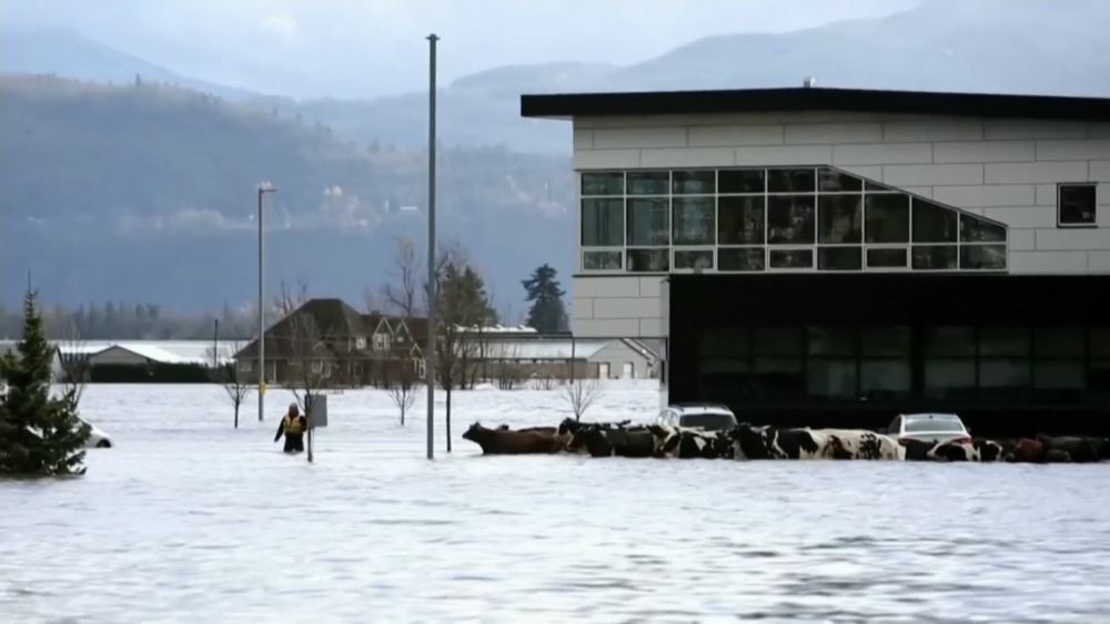 British Columbia: At least one dead in flooding as state of emergency ...