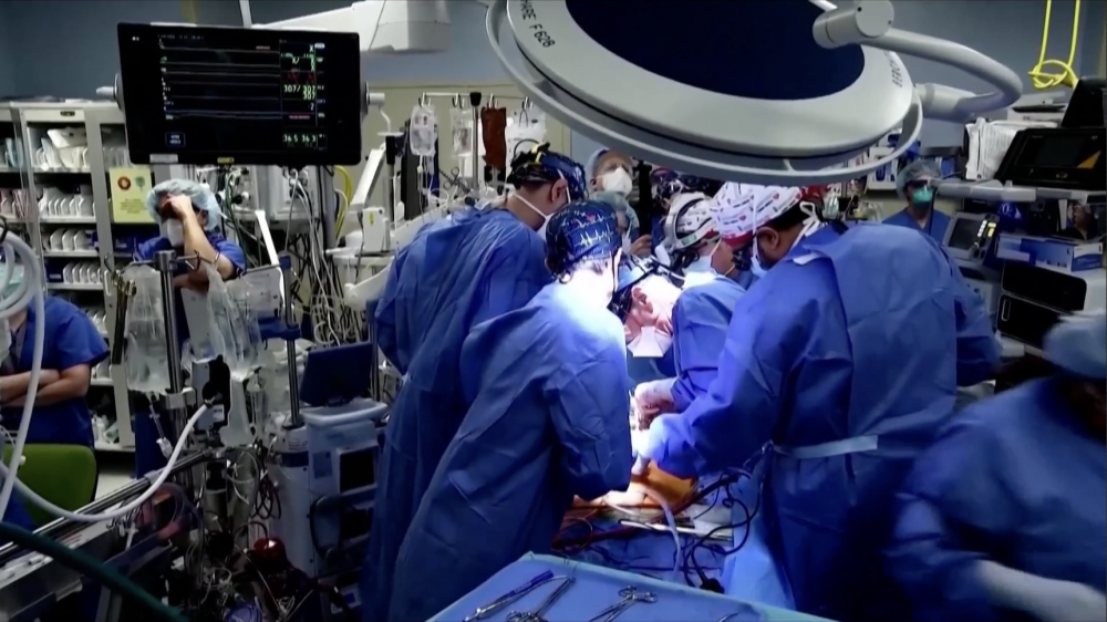 Man gets modified pig heart in worldfirst transplant