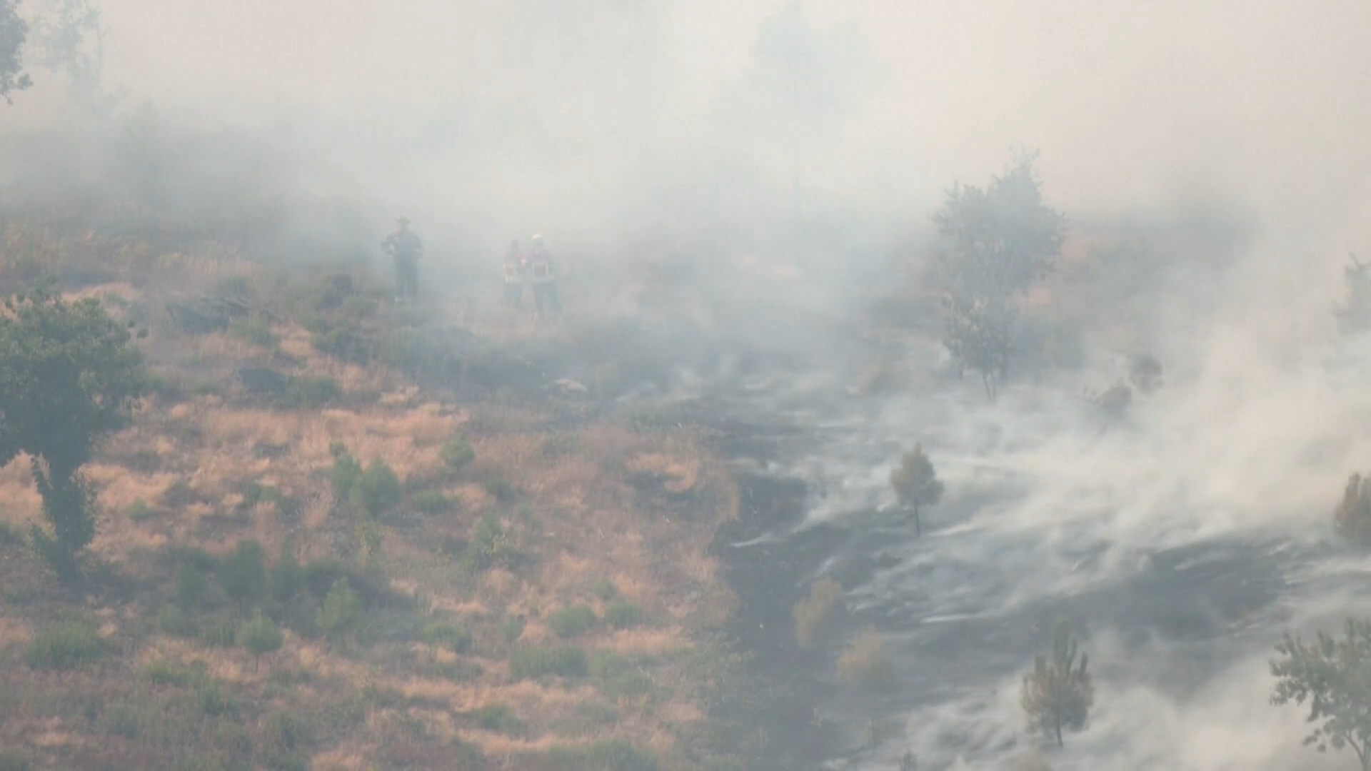 Europe Battles Record Temperatures In Worst Drought For 500 Years