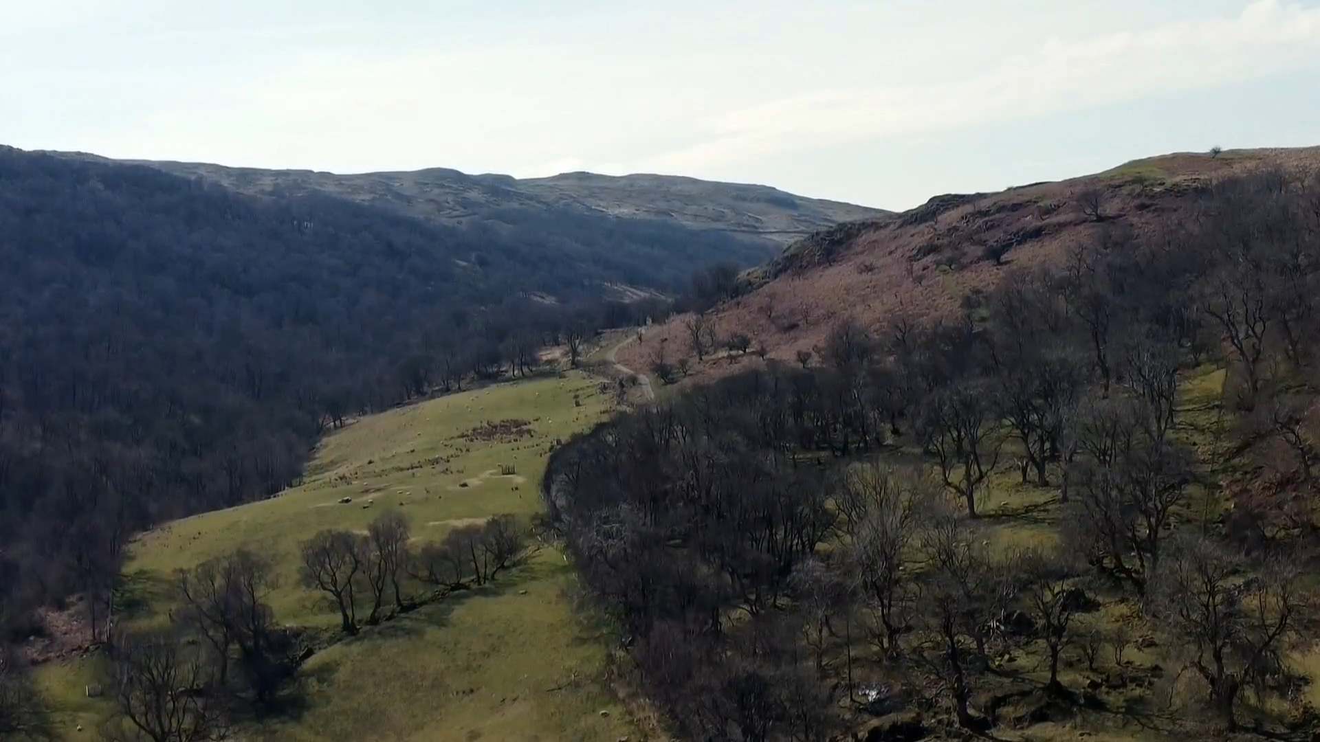Scottish AI datacentre project shifts from on-site renewables to grid connection