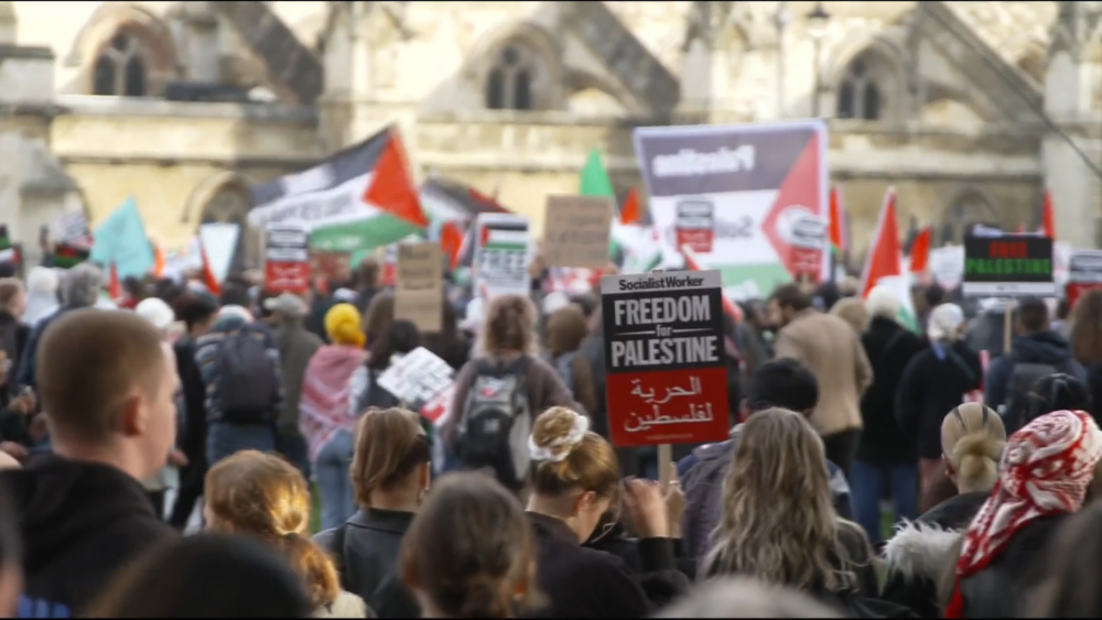 Pro-Palestinian protests to go ahead on Armistice Day, despite Prime