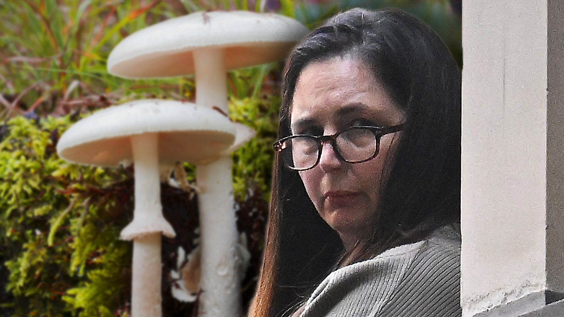 Australian mushroom killings: Erin Patterson trial begins – Channel 4 News