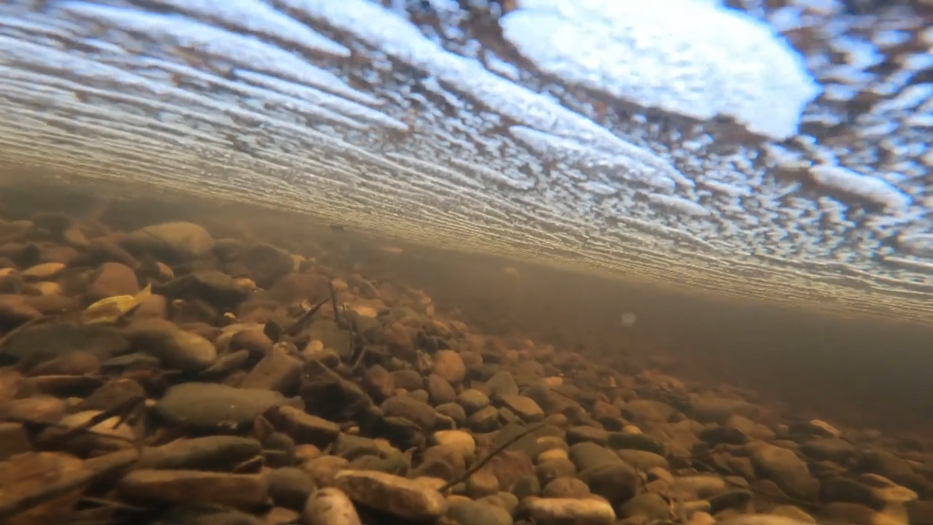 ‘A complete disgrace’, water pollution in England soars