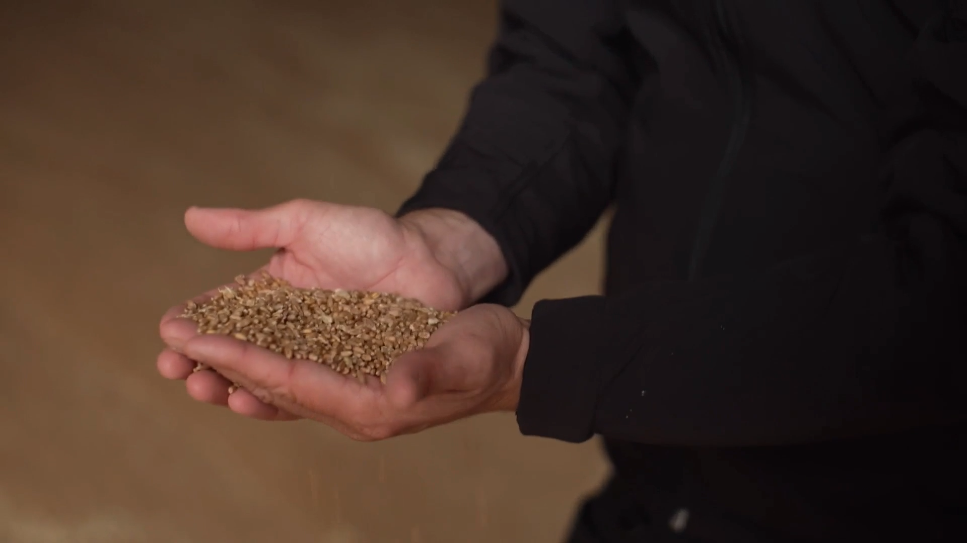 UK’s largest bioethanol plant under threat after trade deal with the US