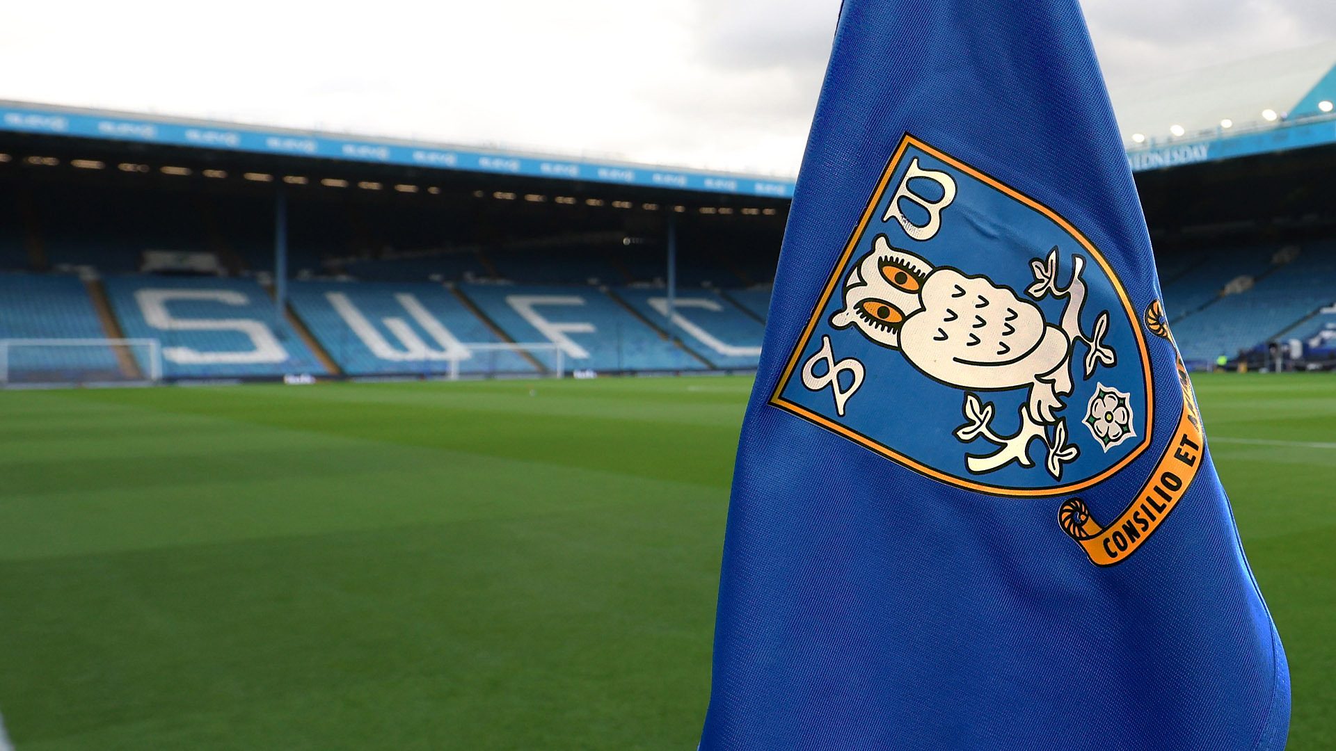 Who wants to take the reins at Sheffield Wednesday?