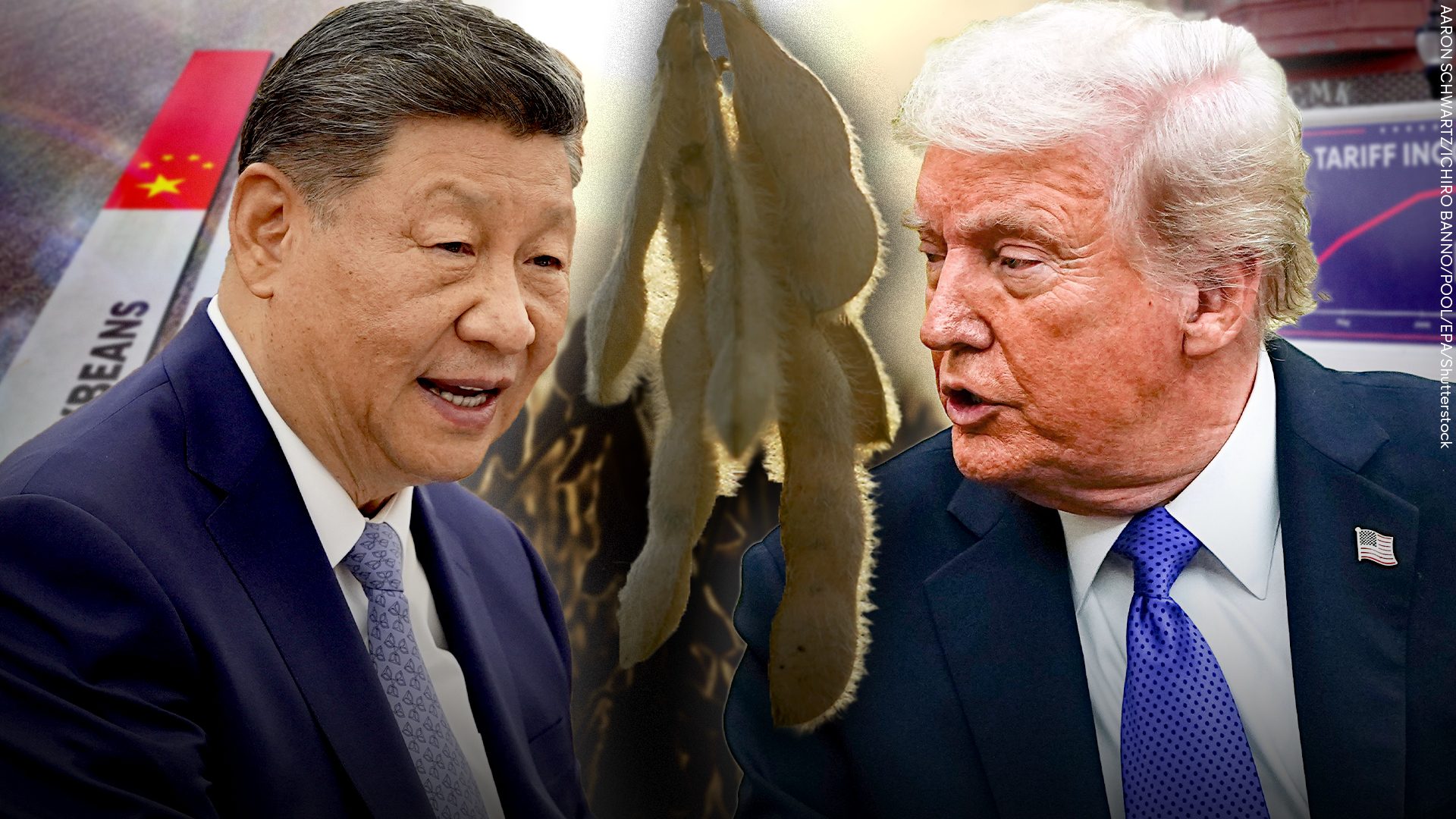 How the humble soya bean has become a political weapon in US-China trade war