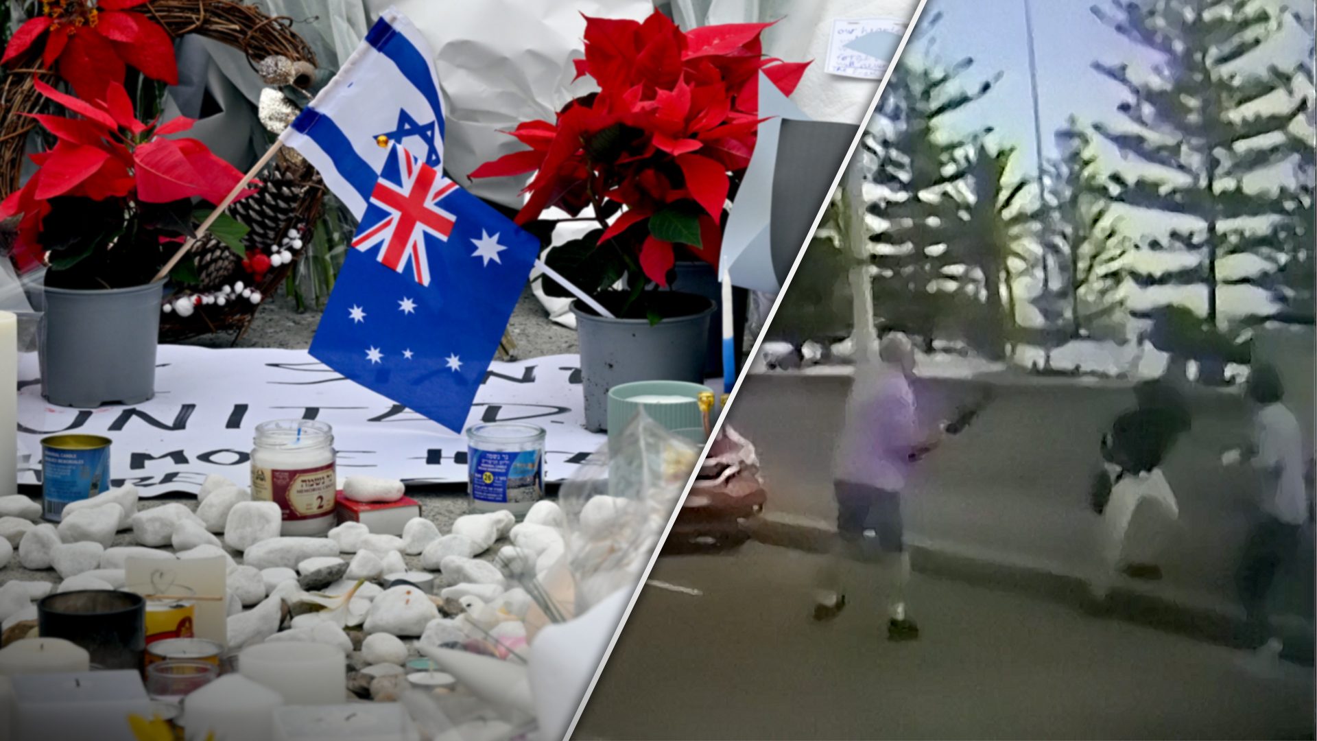 Bondi attack: New footage of heroic attempts to stop shooter