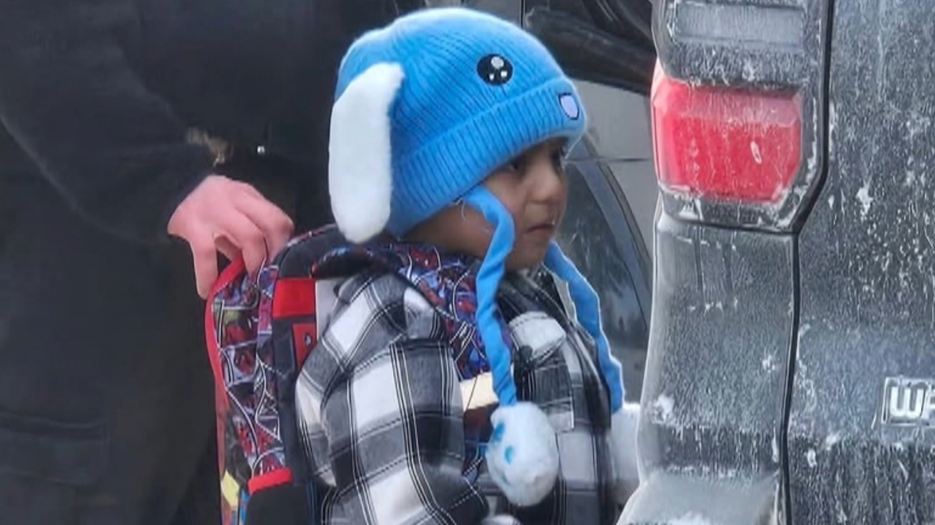 Minnesota rallies to protest against Trump immigration crackdown