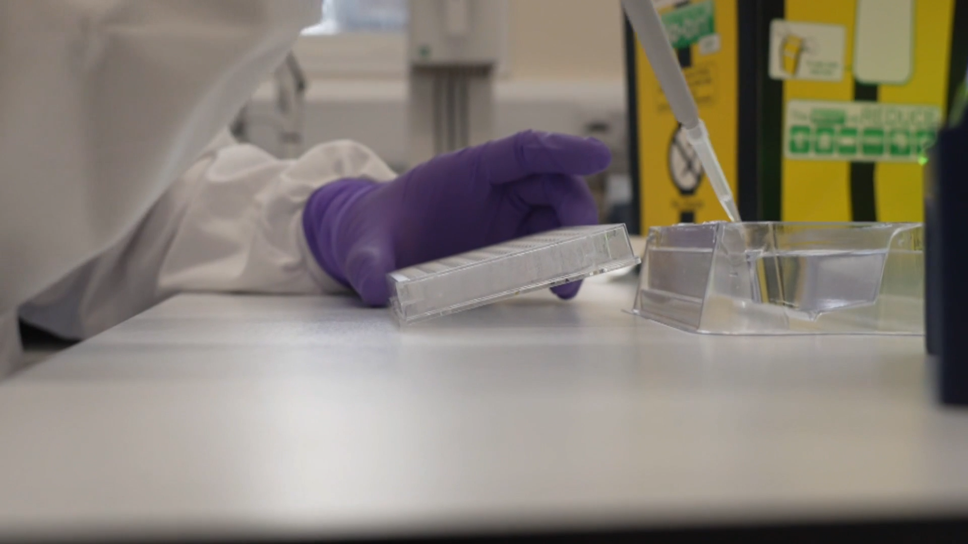 Researchers close in on ‘universal vaccine’ for cold and flu