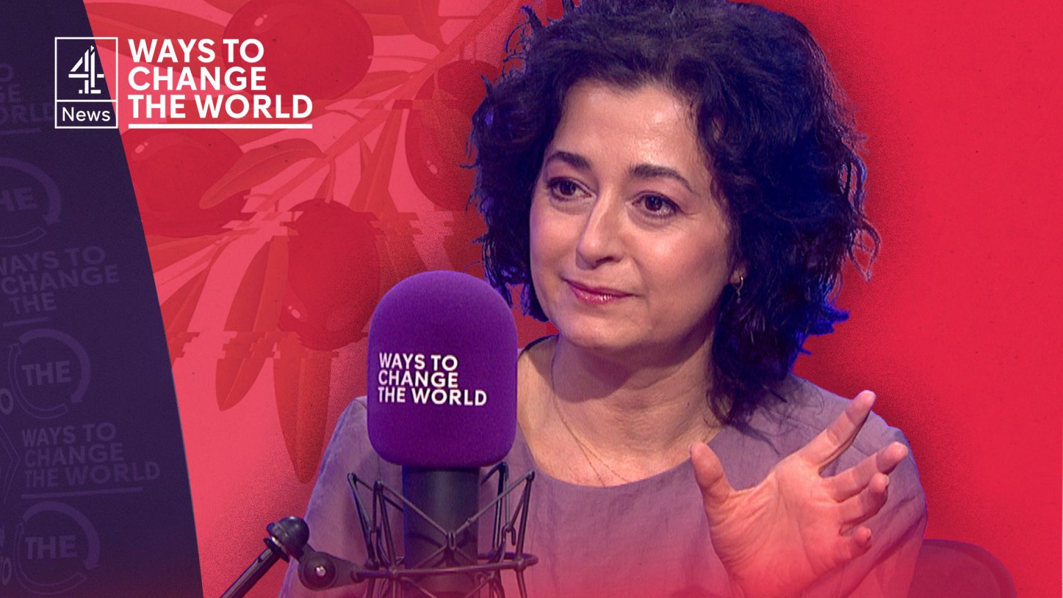 Ece Temelkuran: democracies don’t collapse overnight – Channel 4 News
