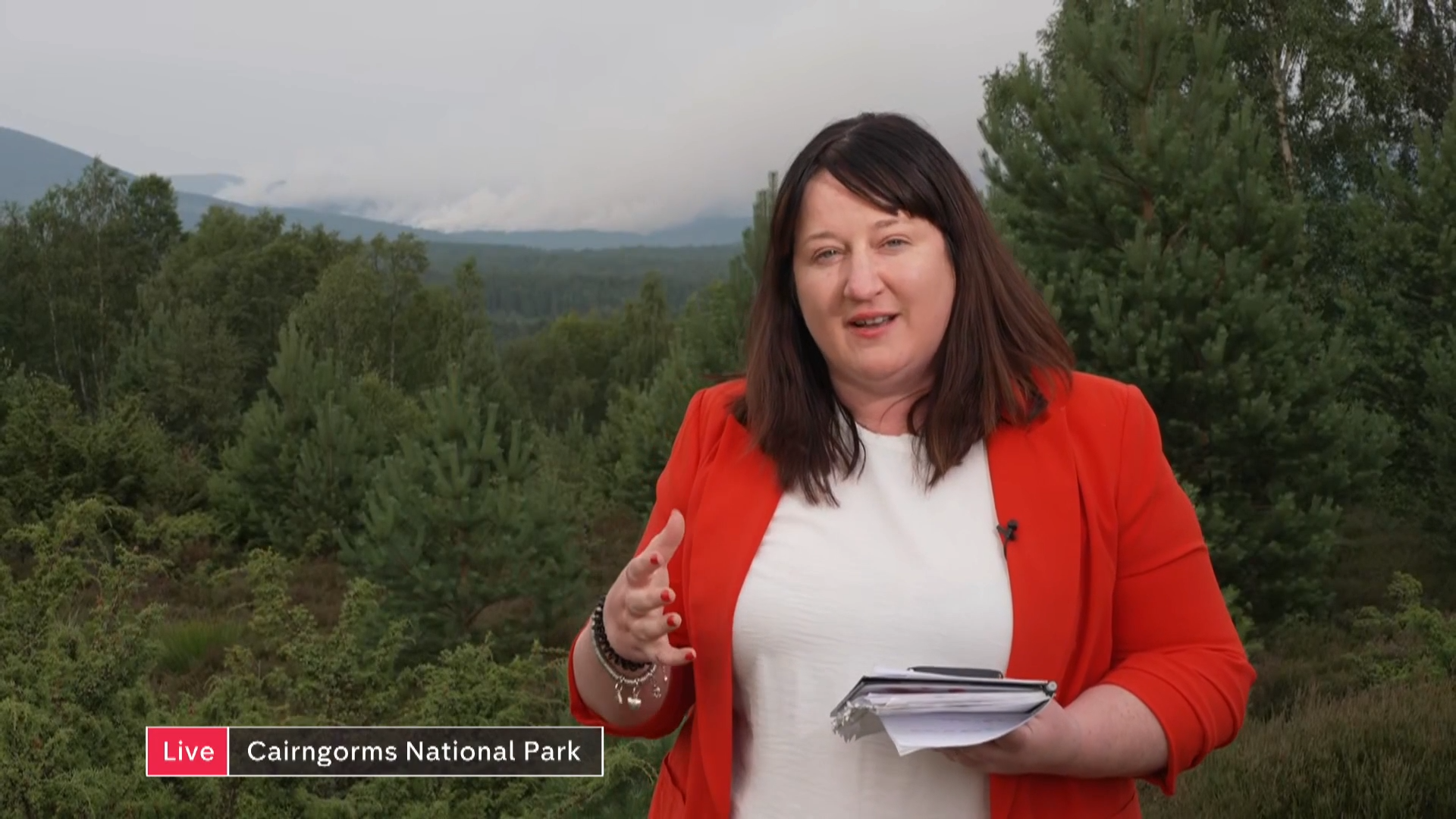 Firefighters battle Cairngorms wildfire