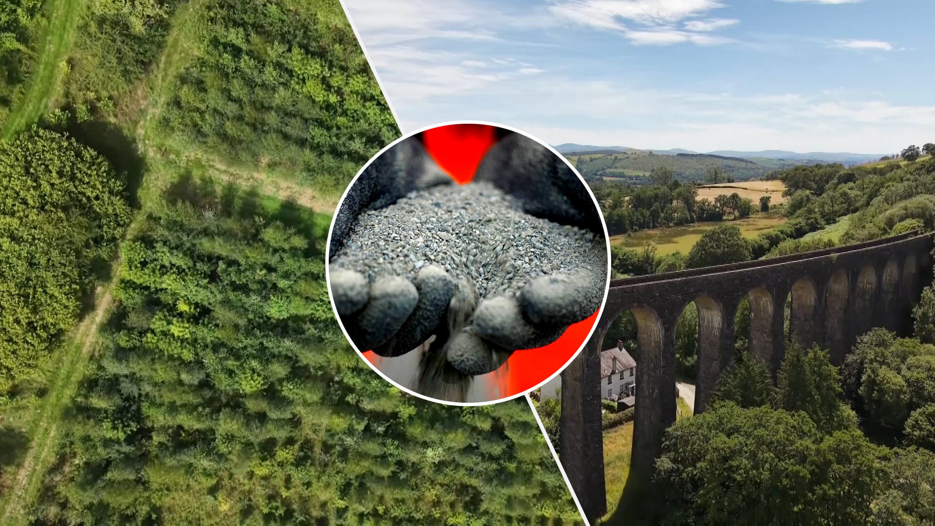 The ‘magic dust’ saving trees and reducing carbon emission