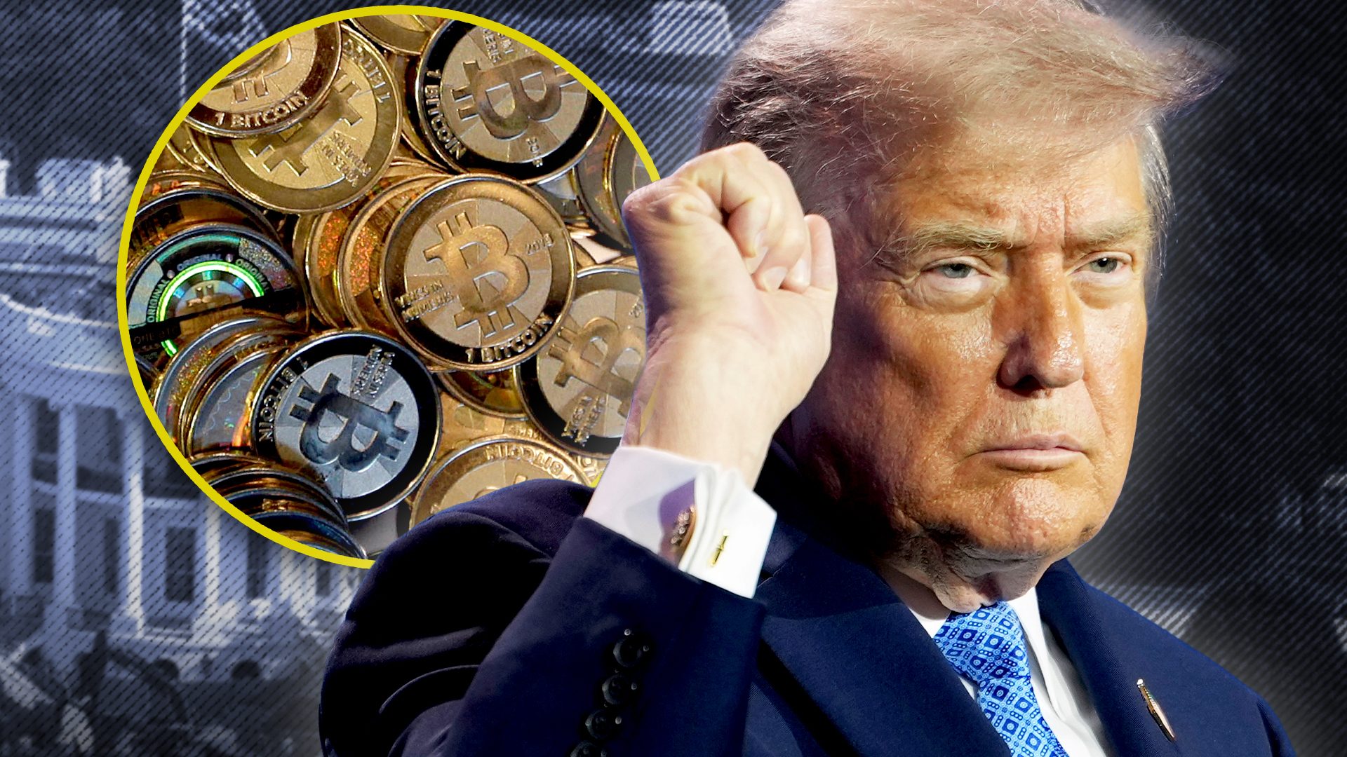 Trump told Starmer about 'fat foxes' and made $1.4bn from crypto in extraordinary first year back