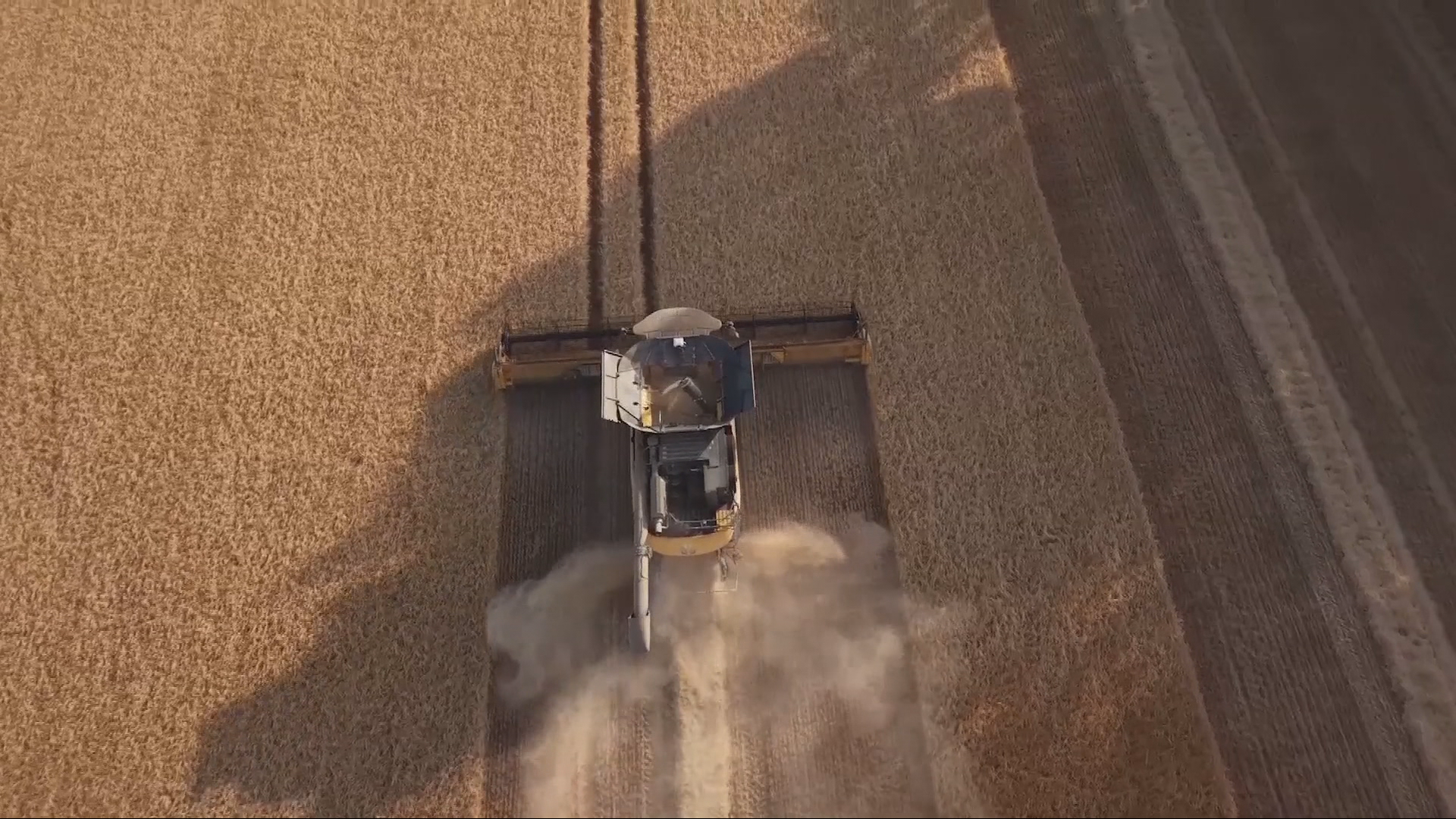 UK harvest ‘disappointing’ after extreme weather, say farmers